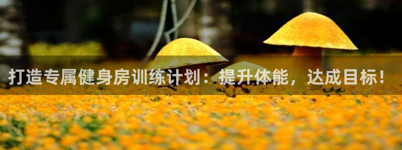 d88尊龙官网手机app